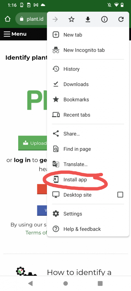 Click "Install app" in the browser